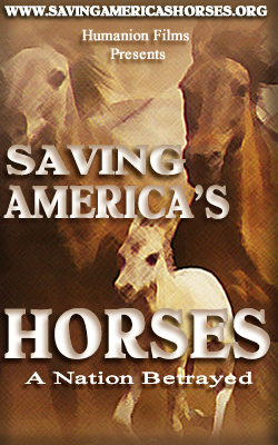Saving America's Horses Film Poster